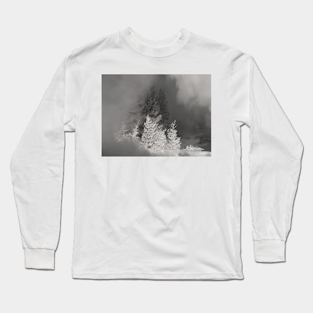 The winter dream Long Sleeve T-Shirt by algill